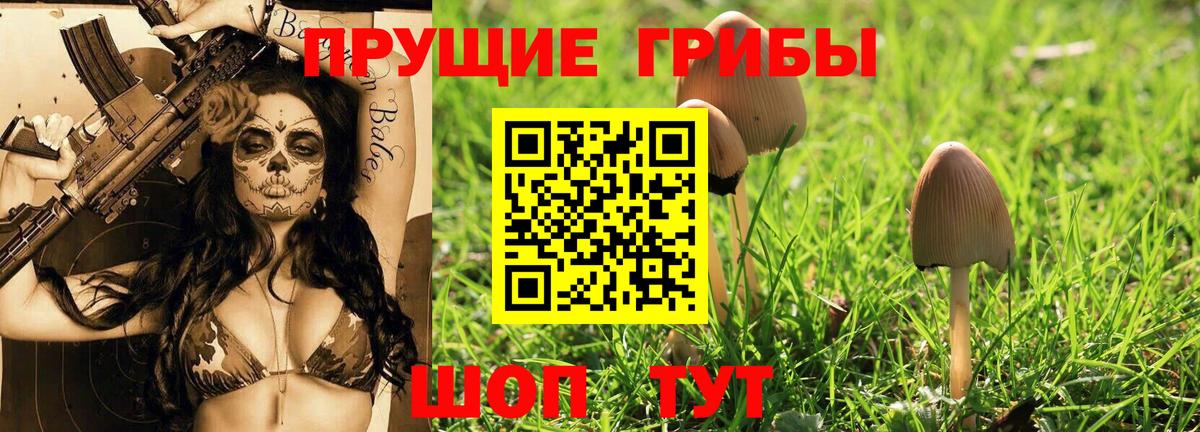 Шарыпово  Псилоцибиновые грибы мухоморы  Вход с VPN 